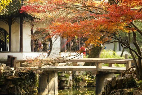 首屆蘇州園林藝術節以全新視角展現園林之美