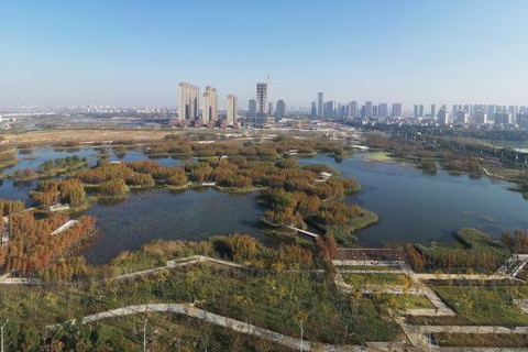 南昌這樣打造“才貌俱佳”網紅濕地