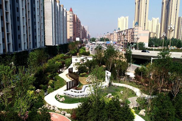 河北邢臺：口袋公園遍地開花 家門口就有詩與遠方