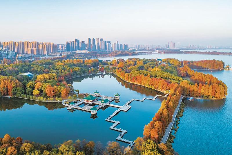 濕地公園達1600余處 中國濕地生態狀況持續改善