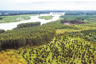 高質(zhì)量園林綠化扮靚京華 人均公園綠地16.6平米