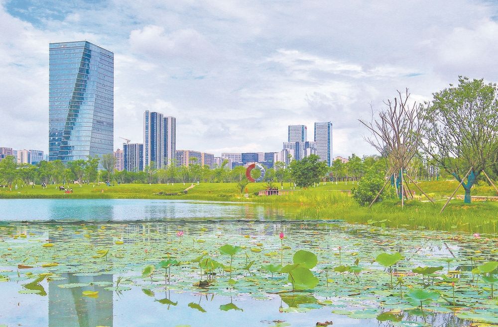 四川天府新區(qū)公園城市標(biāo)準(zhǔn)化綜合試點(diǎn)啟動(dòng)