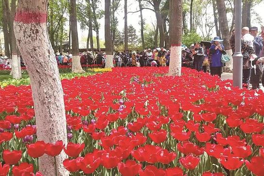 西寧：從“有公園的城市”到“公園中的城市”