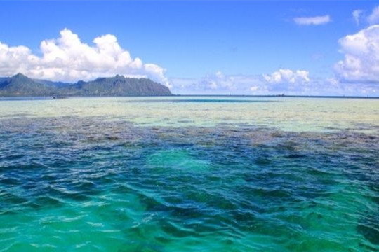 七部門印發《重點海域綜合治理攻堅戰行動方案》