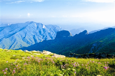 秦嶺國家公園宣傳語征集啟動 弘揚秦嶺生態(tài)文化
