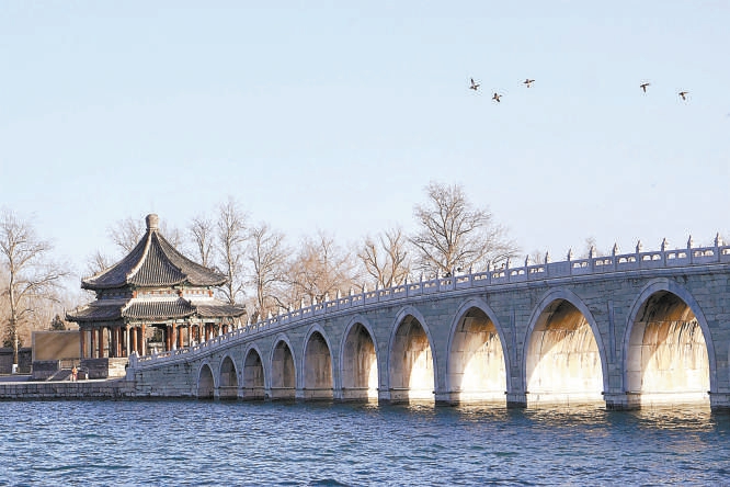 北京多處公園河湖成觀鳥打卡地