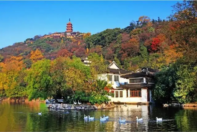 江蘇：建設(shè)生態(tài)安全緩沖區(qū)保護(hù)長(zhǎng)江生態(tài)