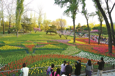 國家植物園：更高水平保護生物多樣性