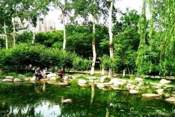 石家莊：城市綠地全面提檔升級