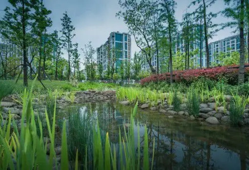 住房和城鄉建設部進一步明確海綿城市建設要求