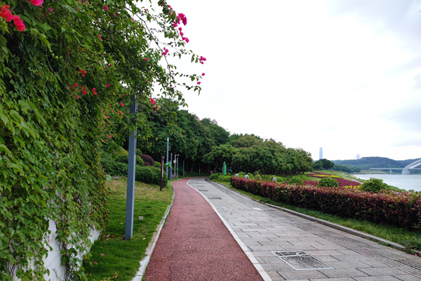 廣西將新建或改擴建100個體育公園 融入民族文化