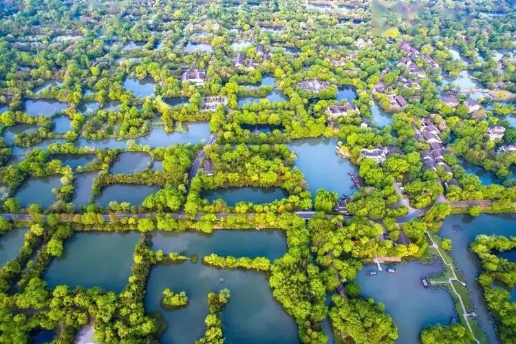 濕地公園怎么建？設計標準來了