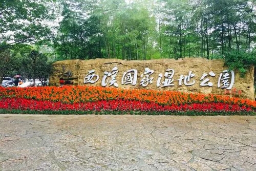 杭州西溪濕地公園  以“繡花”功夫守護生態之美
