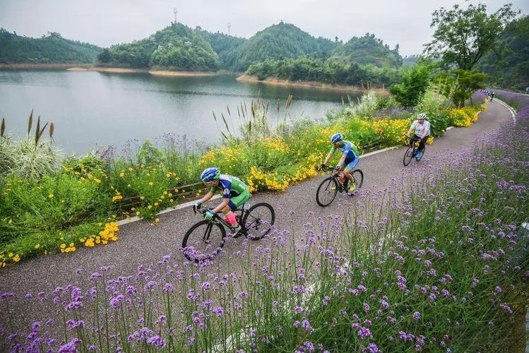 城市綠道串起美好生活 我國綠道已達8萬余公里