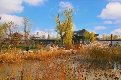 一環十一園 天津“植物園鏈”建設方案征意見