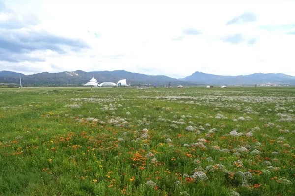 全國各地科學綠化提升草原生態功能和生產能力
