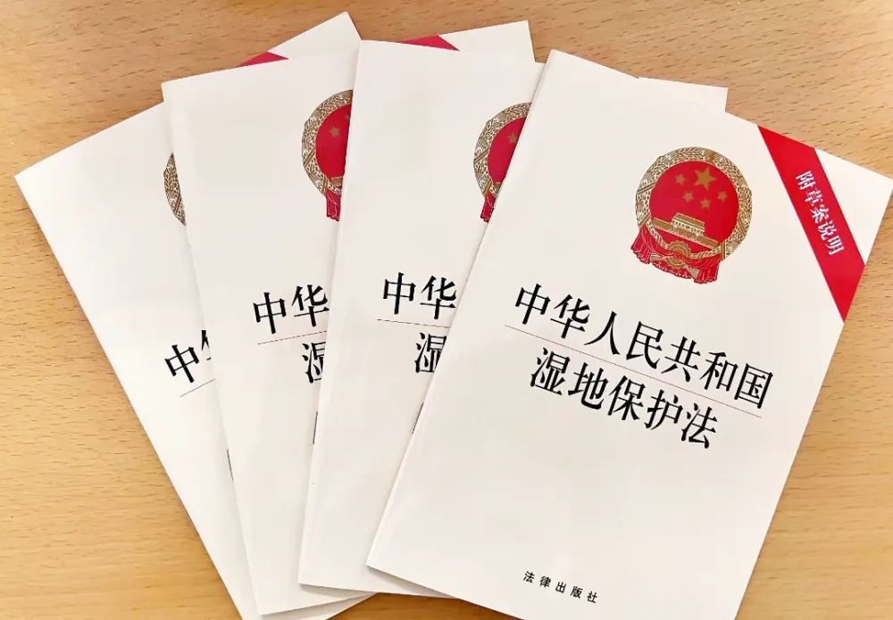 濕地保護法即將實施 重點內容快快看過來
