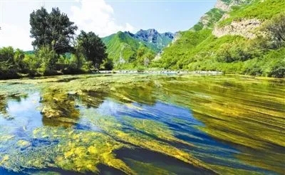 北京國土空間生態修復規劃印發 環京生態一體化