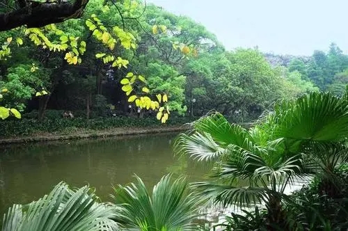國務院同意在廣州設立華南國家植物園