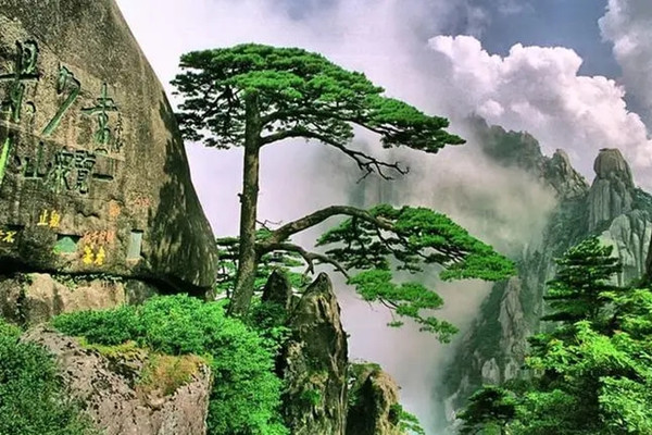 我國世界自然遺產雙遺產共18項面積7萬平方公里