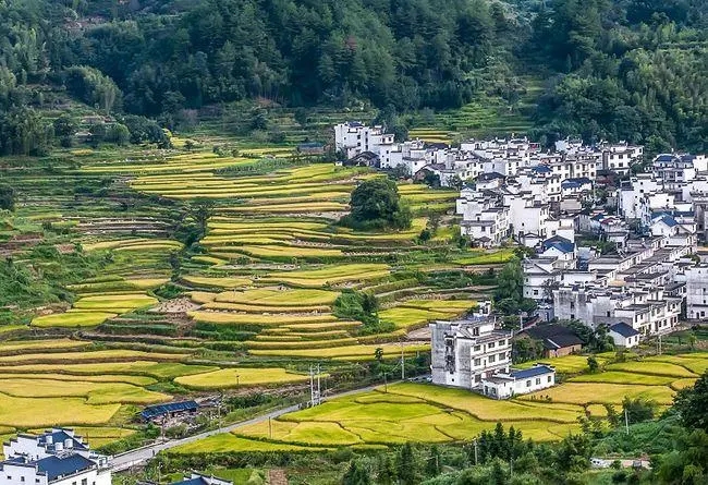 江西授牌首批風(fēng)景獨(dú)好旅游名縣 看看有哪些？