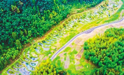 “國(guó)際濕地城市”中國(guó)最多 已成優(yōu)質(zhì)生態(tài)名片