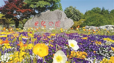上海花展歷史悠久深受喜愛