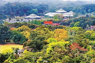 華南國家植物園正式揭牌