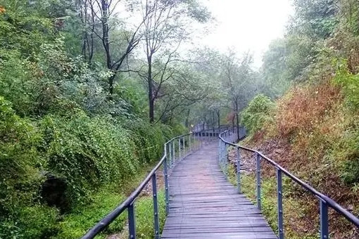 北京啟動建設1000公里“森林步道”