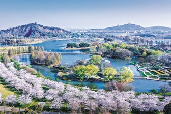 礦坑上崛起的辰山植物園