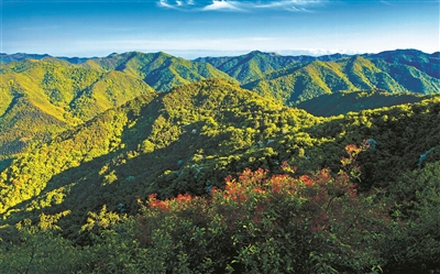 秦嶺：譜寫美麗中國建設(shè)新篇章