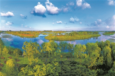 江蘇揚(yáng)州北湖國(guó)家濕地公園晉升“國(guó)家隊(duì)”
