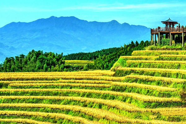 我國新增4處灌溉工程遺產(chǎn) 聚傳統(tǒng)智慧顯生態(tài)價值