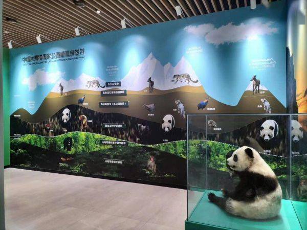 大熊貓國家公園設(shè)立一周年展在成都開展